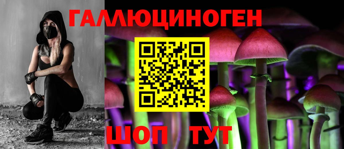 Псилоцибиновые грибы прущие грибы Татарск